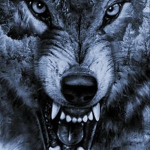 Meet your Posher, Nathaniel